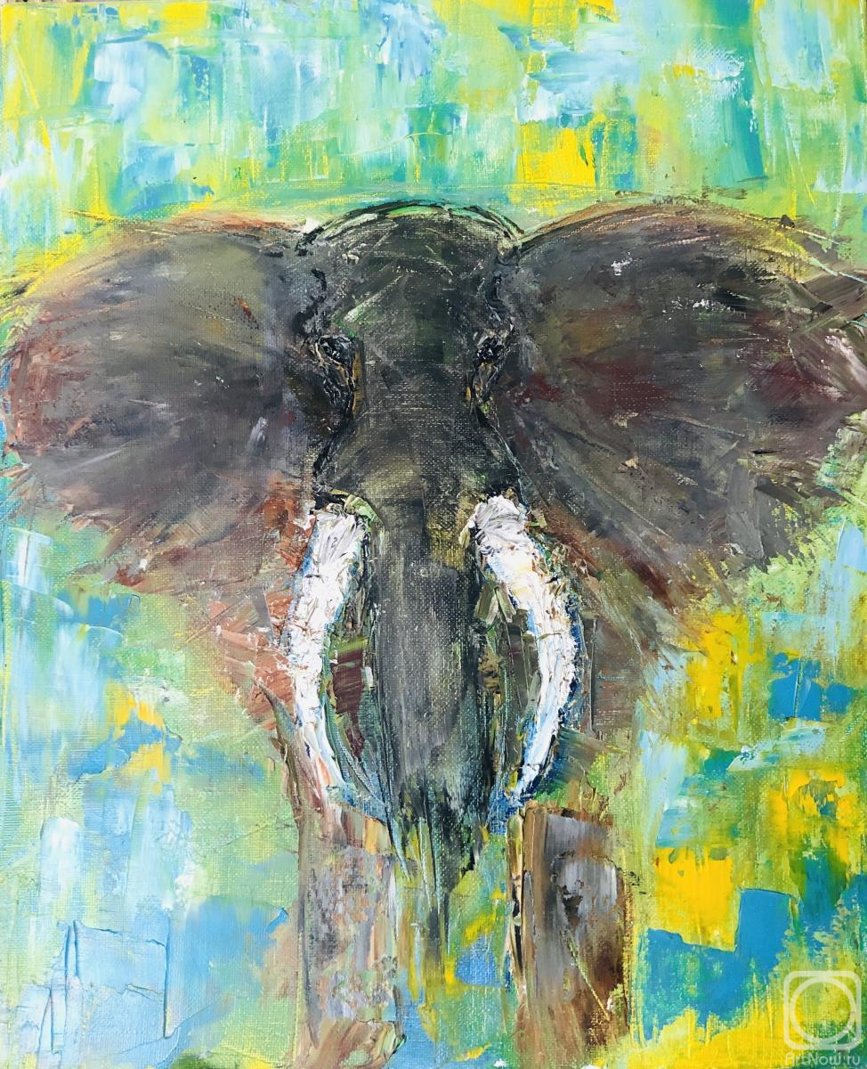 ������� ������ �� ������. �������� ����. ������������