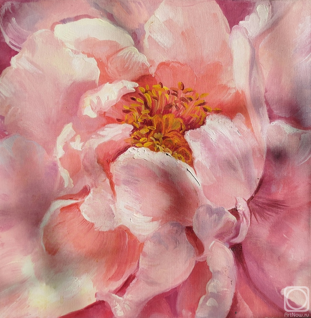 ������� ������ �� ������. �������� �������. ������� ����