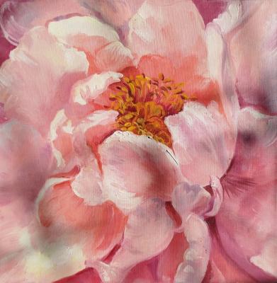 ������� �������� �����