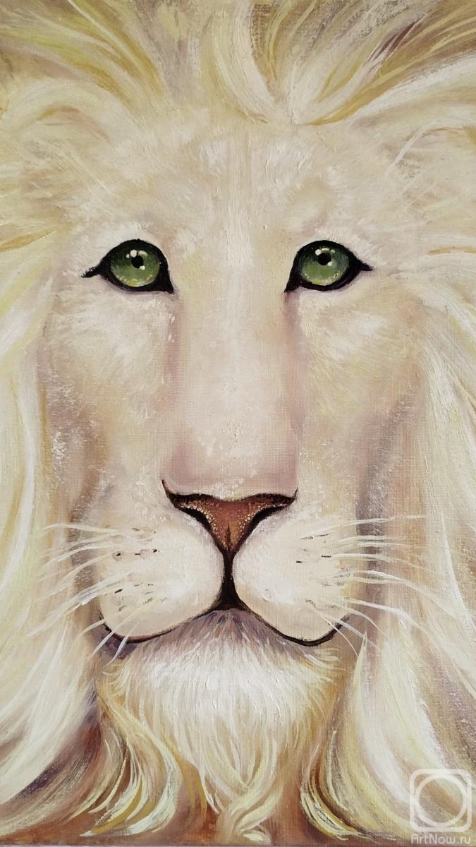 ������� ������ �� ������. �������� �������. ����� ���