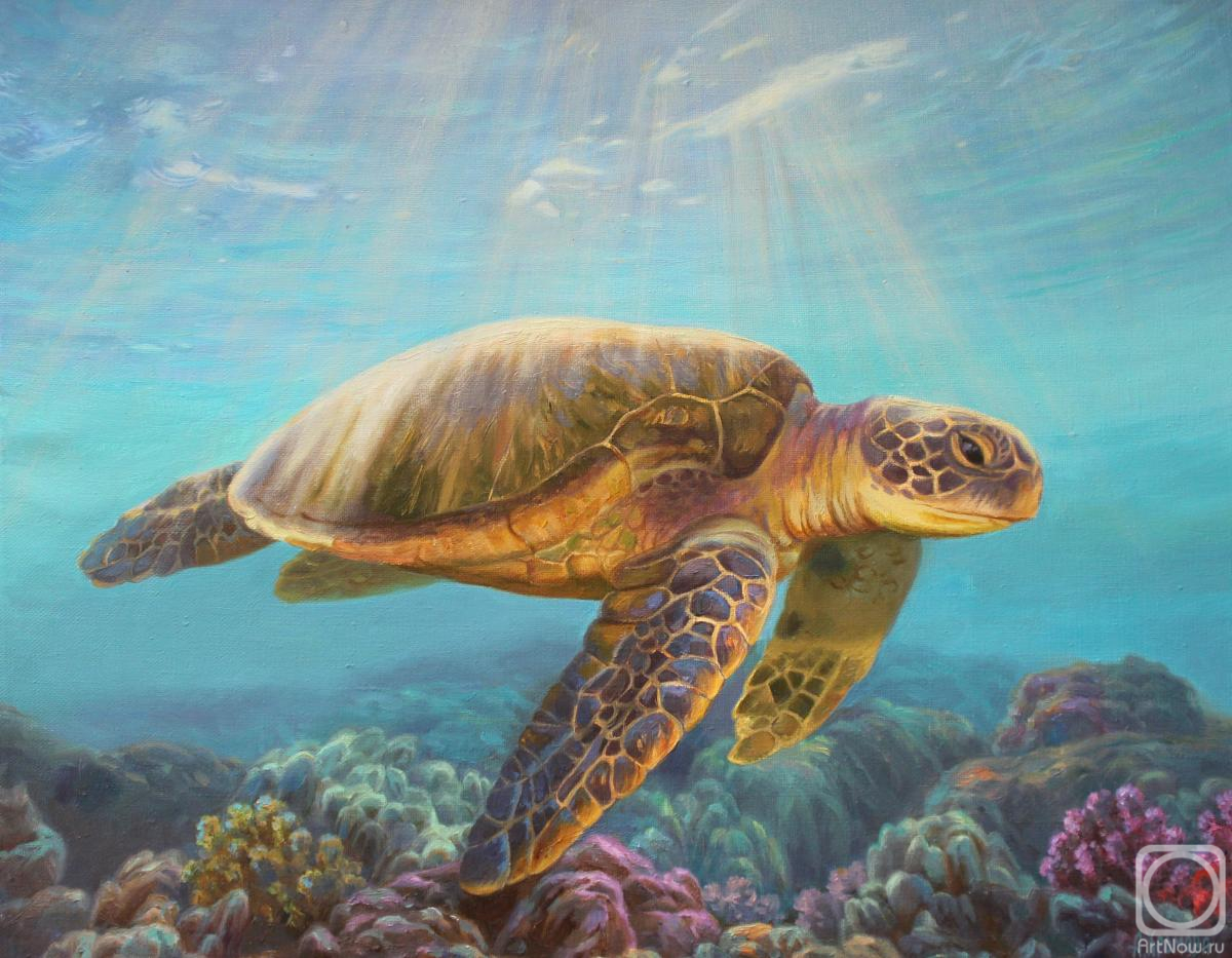 ������� ������ �� ������. ������� ���������. � ������� ��������