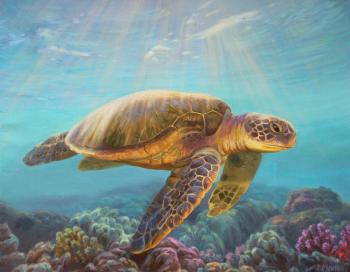 ������� �� ������� ��������