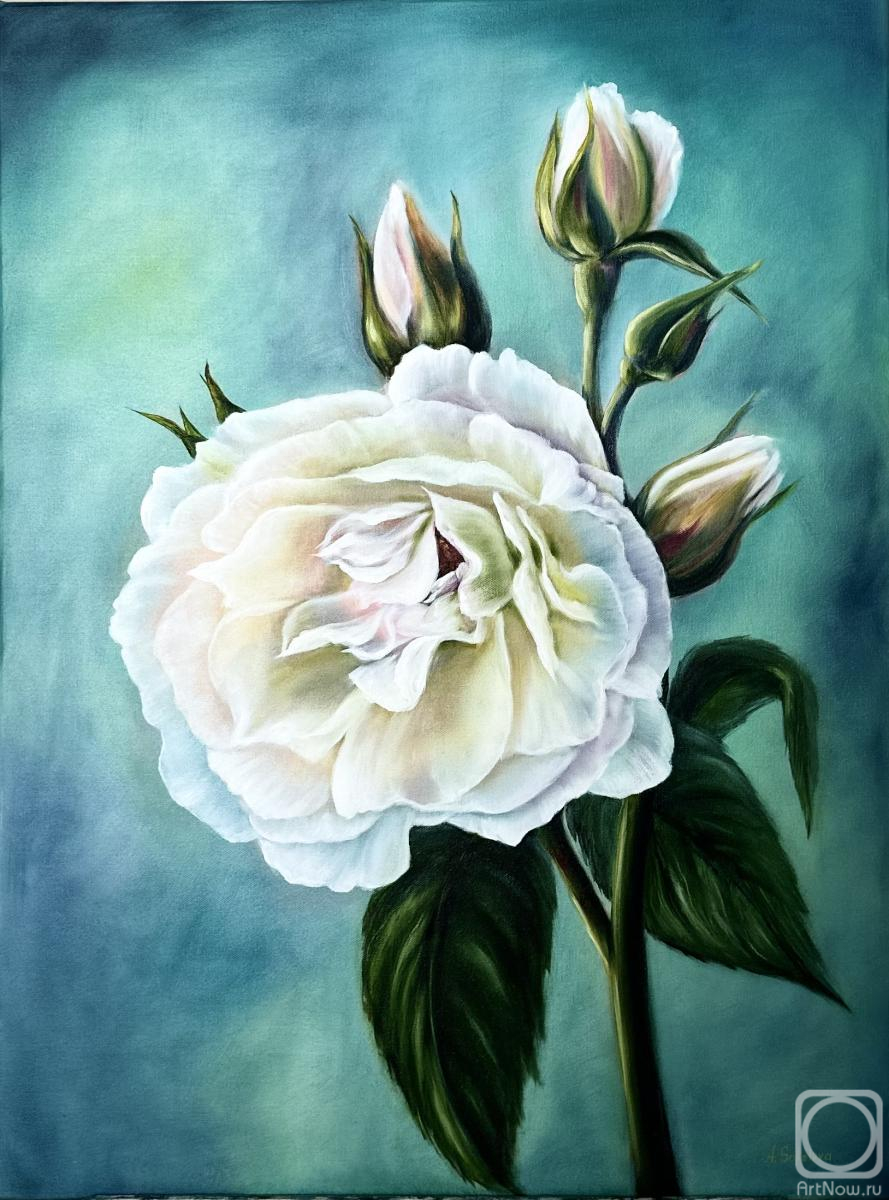 ������� ������ �� ������. �������� ����. ��������