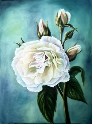 ������� ����������