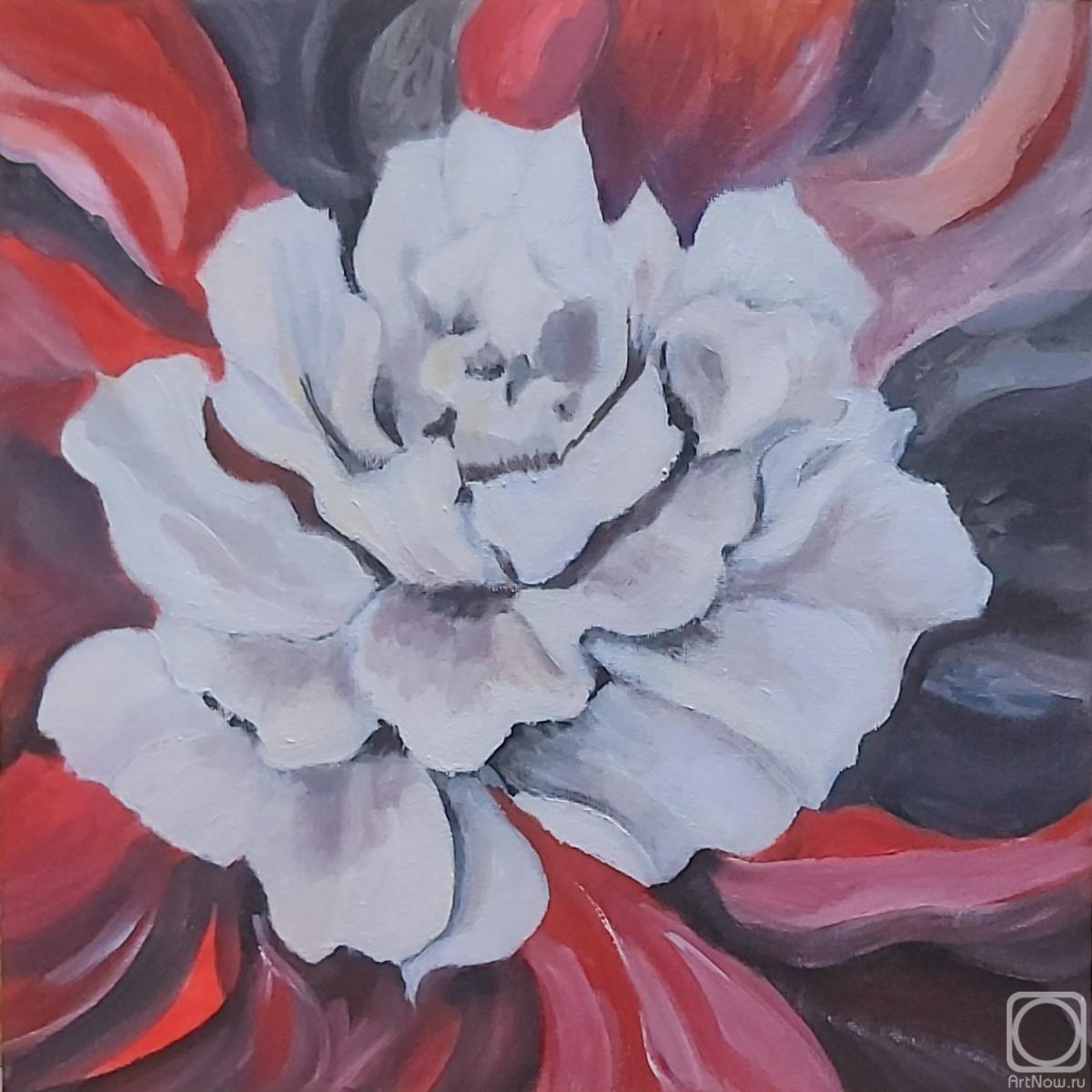 �������. ����������� ���������. ����� ������ �� �������