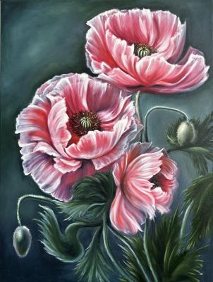 ������� ���������� ���