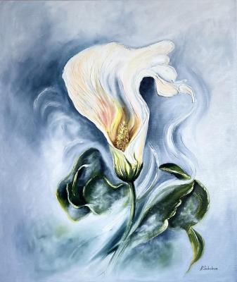 �����������. �������� ����