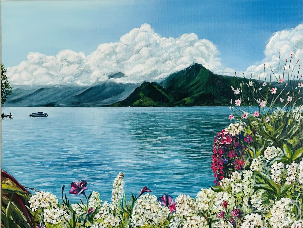 ������� ������ �� ������. �������� ����. ������ ����