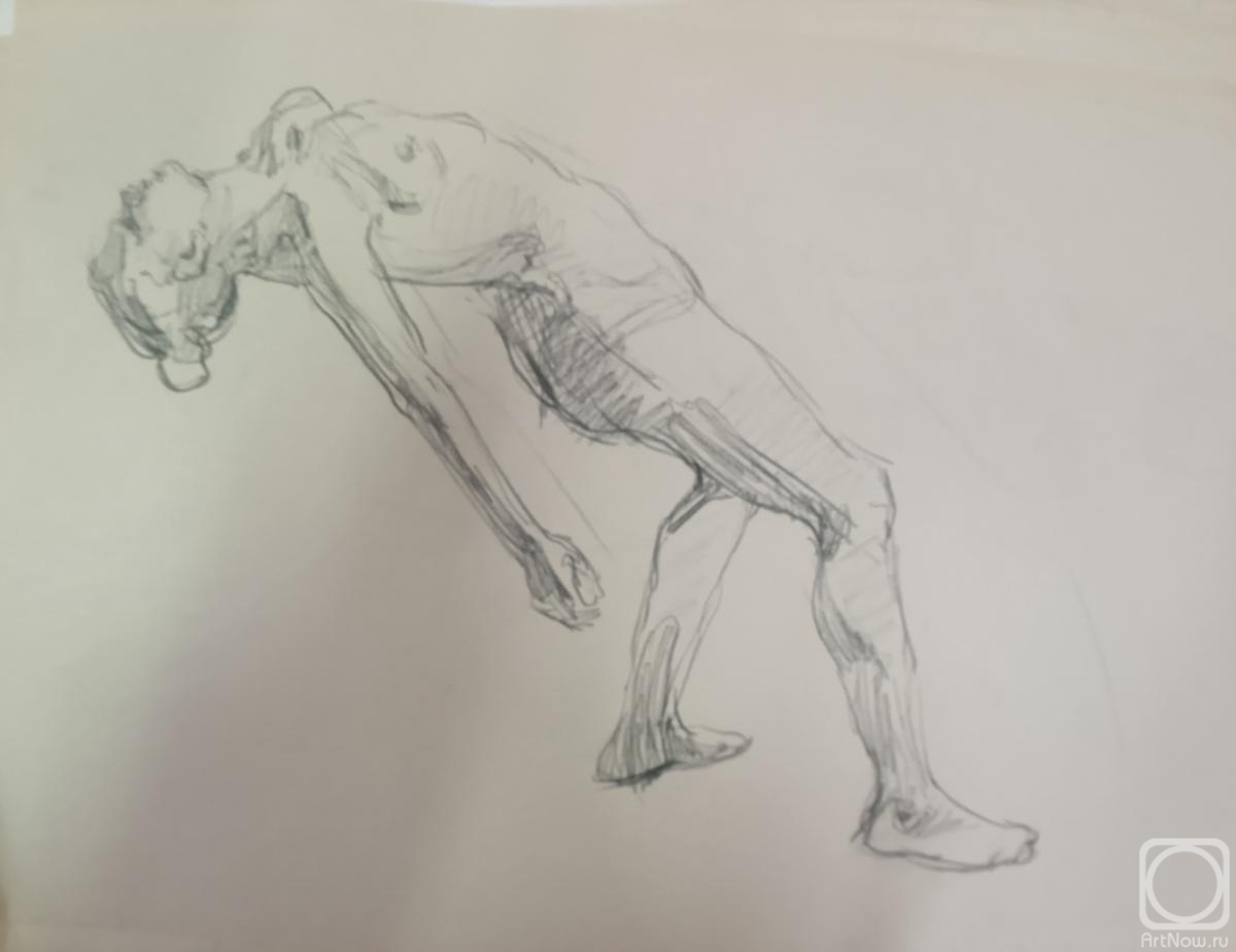 �������. ���������� ����. ���������� ���������