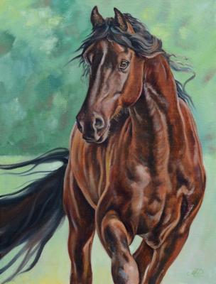 ������� ������