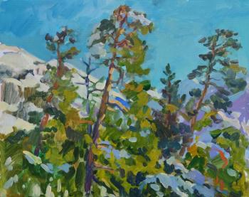 ����� � ��������