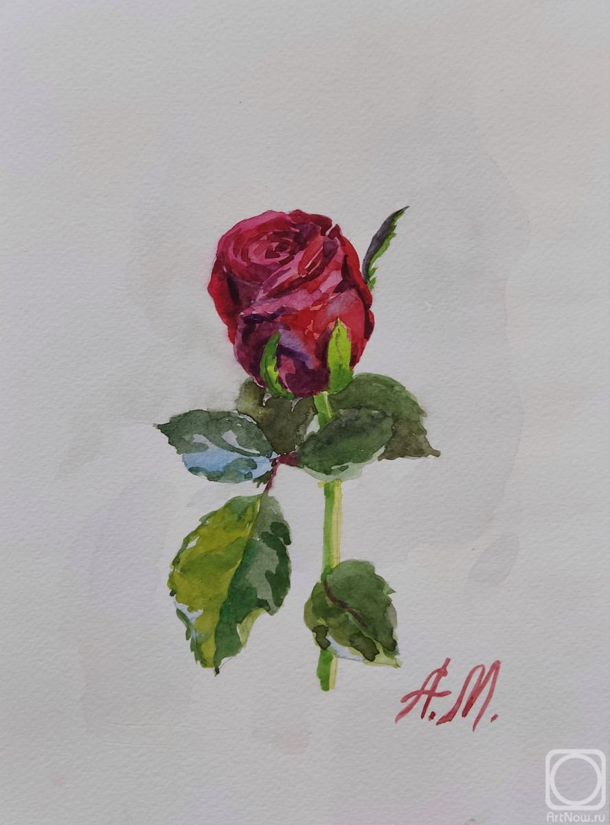 �������. ����������� ����������. ����