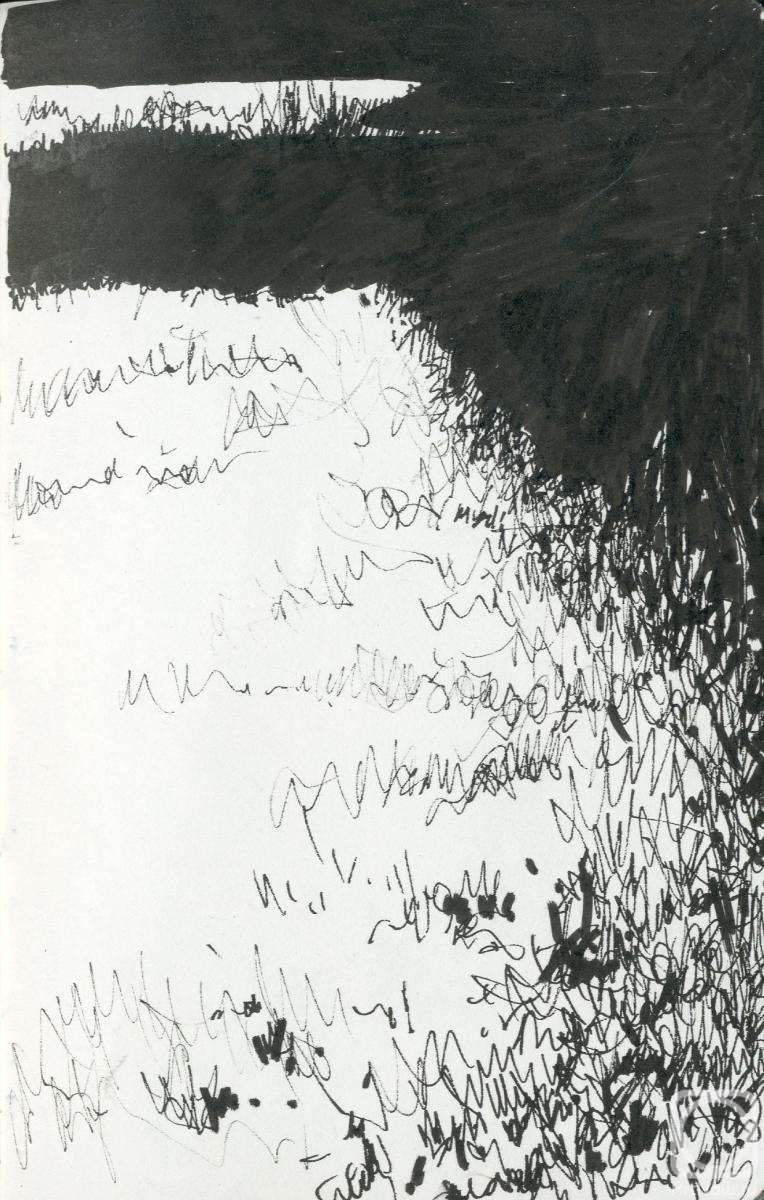 Chernov Denis. Shadow on Grass