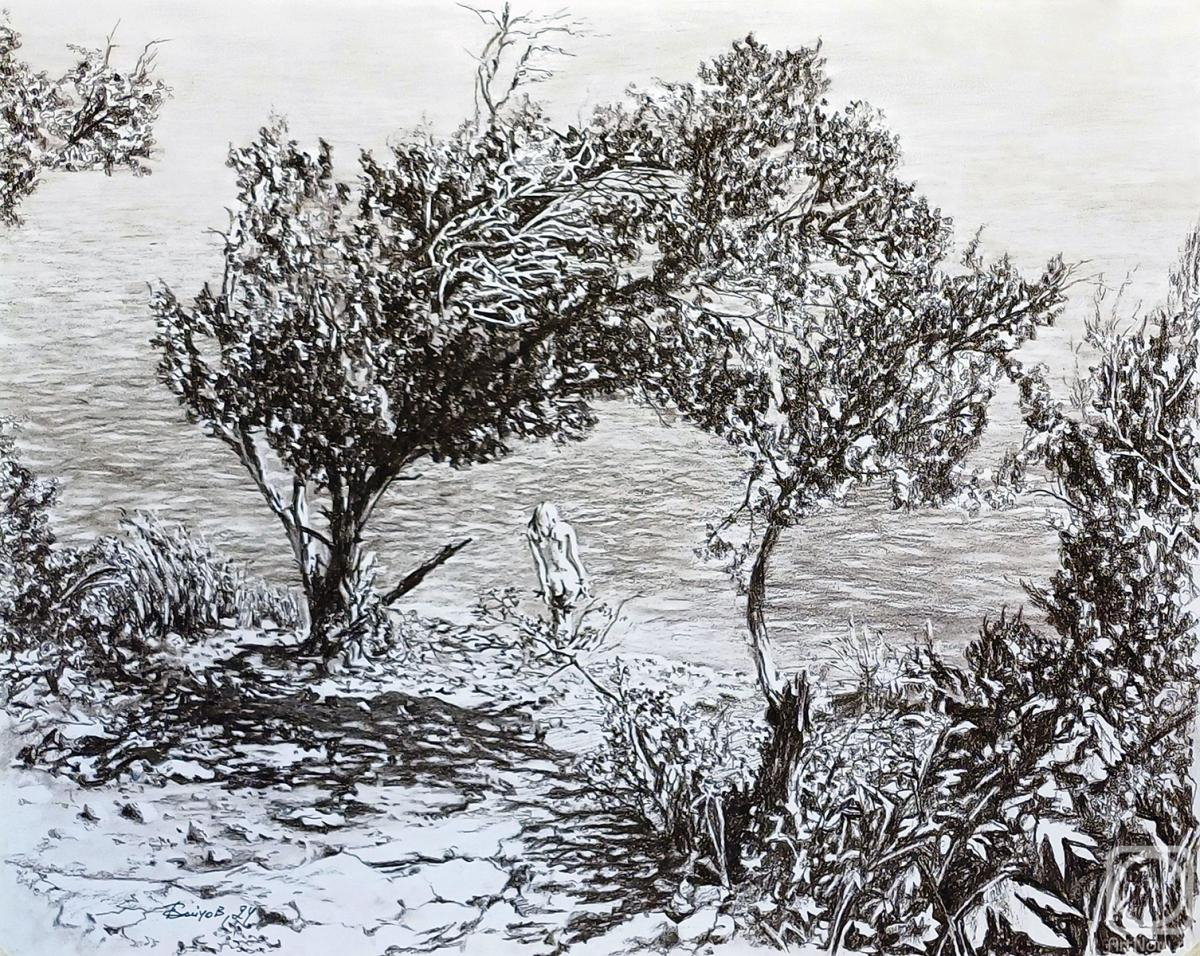 Boytsov Aleksandr. Summer