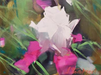 ������� �����