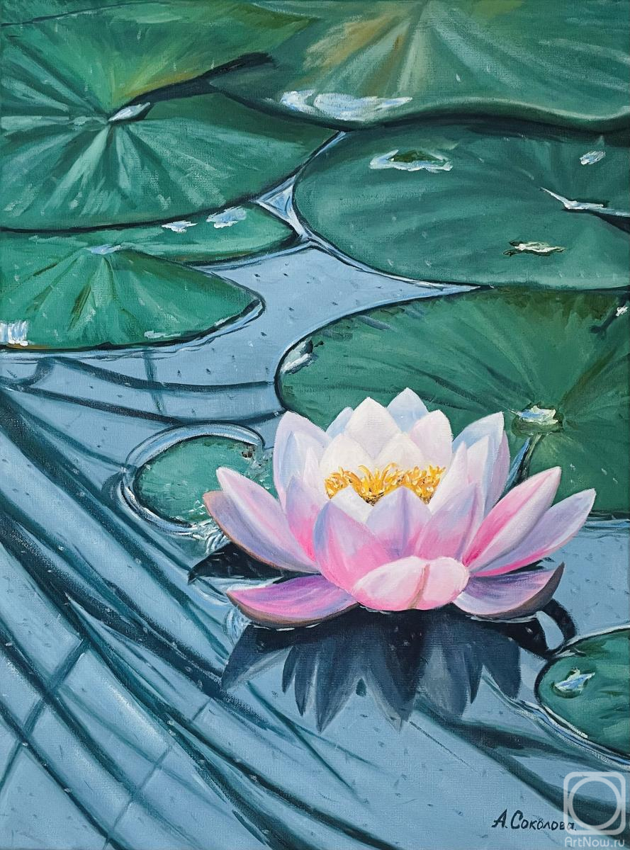 ������� ������ �� ������. �������� ����. �����