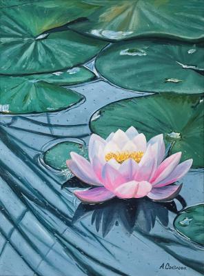 ������� ������