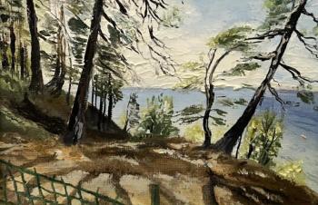 Кемпинг Енот