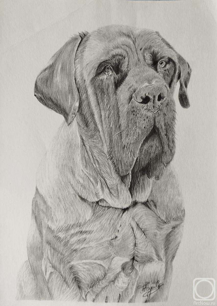 �������. ������� �����. �����