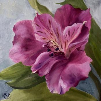 Alstroemeria. Eremina Viktoriya