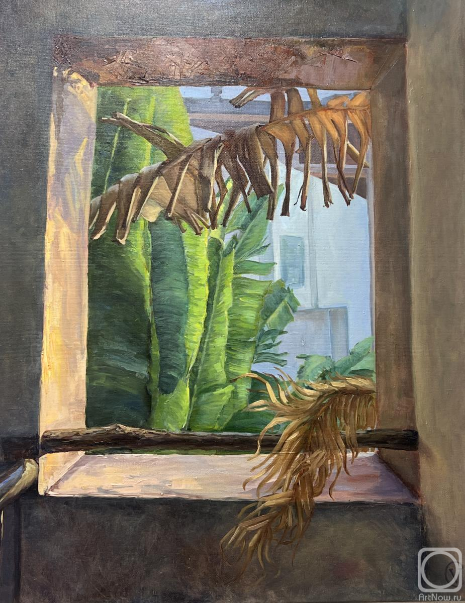 ������� ������ �� ������. ������� ��������. ���� � �������