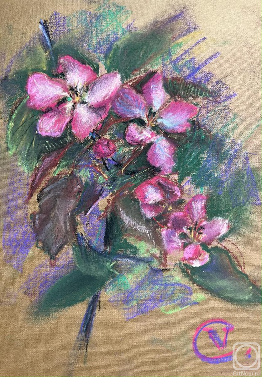 �������. ������� ��������. �������� �����