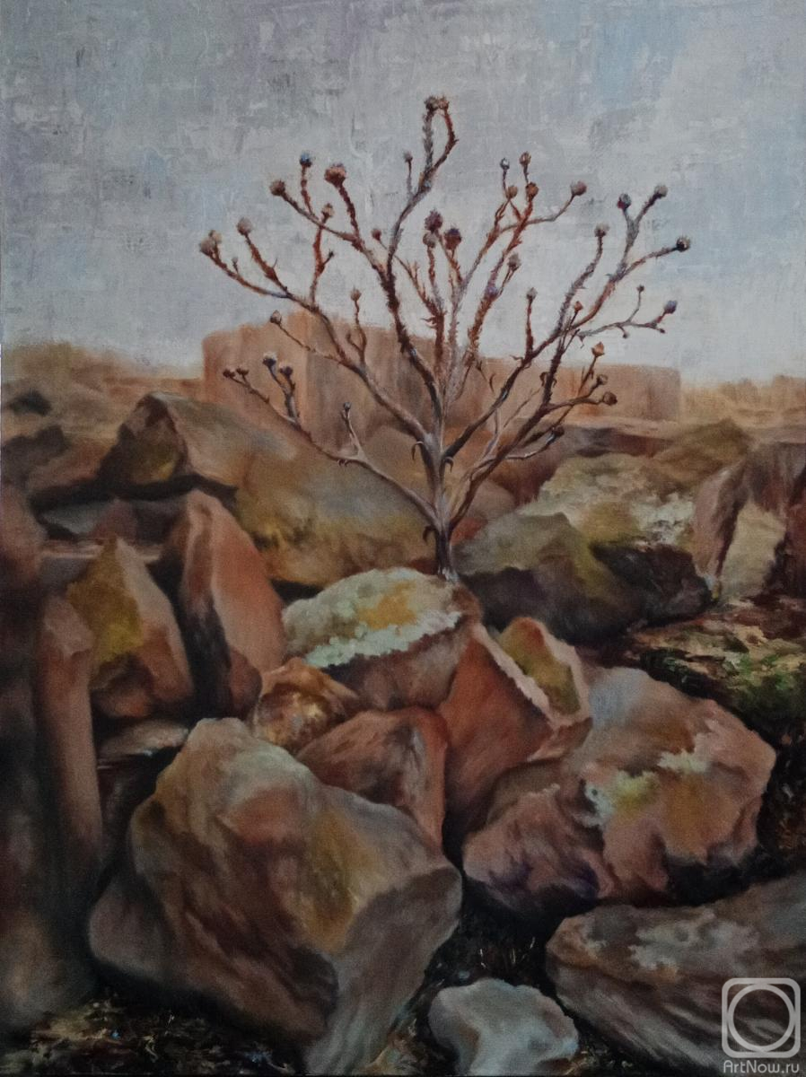 ������� ������ �� ������. ��������� �������. ������� �� ����������