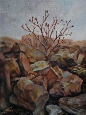 Thistle on the ruins (The Landscape Of Armenia). Rabinovich Lyudmila