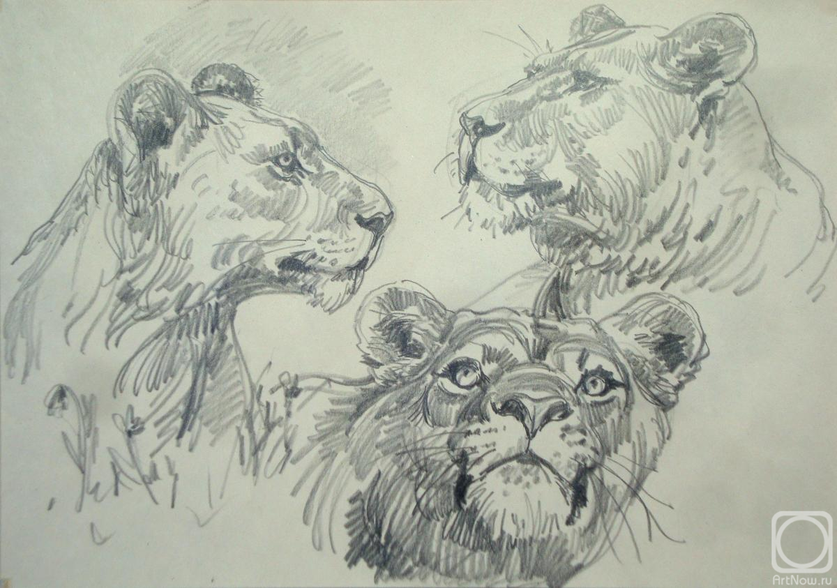 �������. ���������� �������. ���� 4