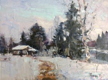 A house by the river. Poluyan Yelena