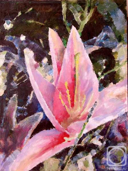 �������. ������ ������. � 08