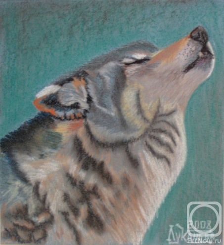 �������. �������� ������. ������ �����