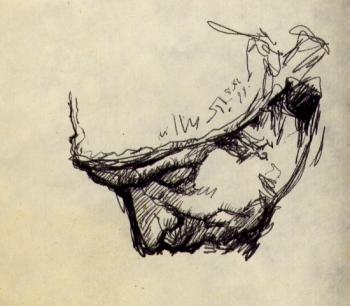 ������� ������� �����