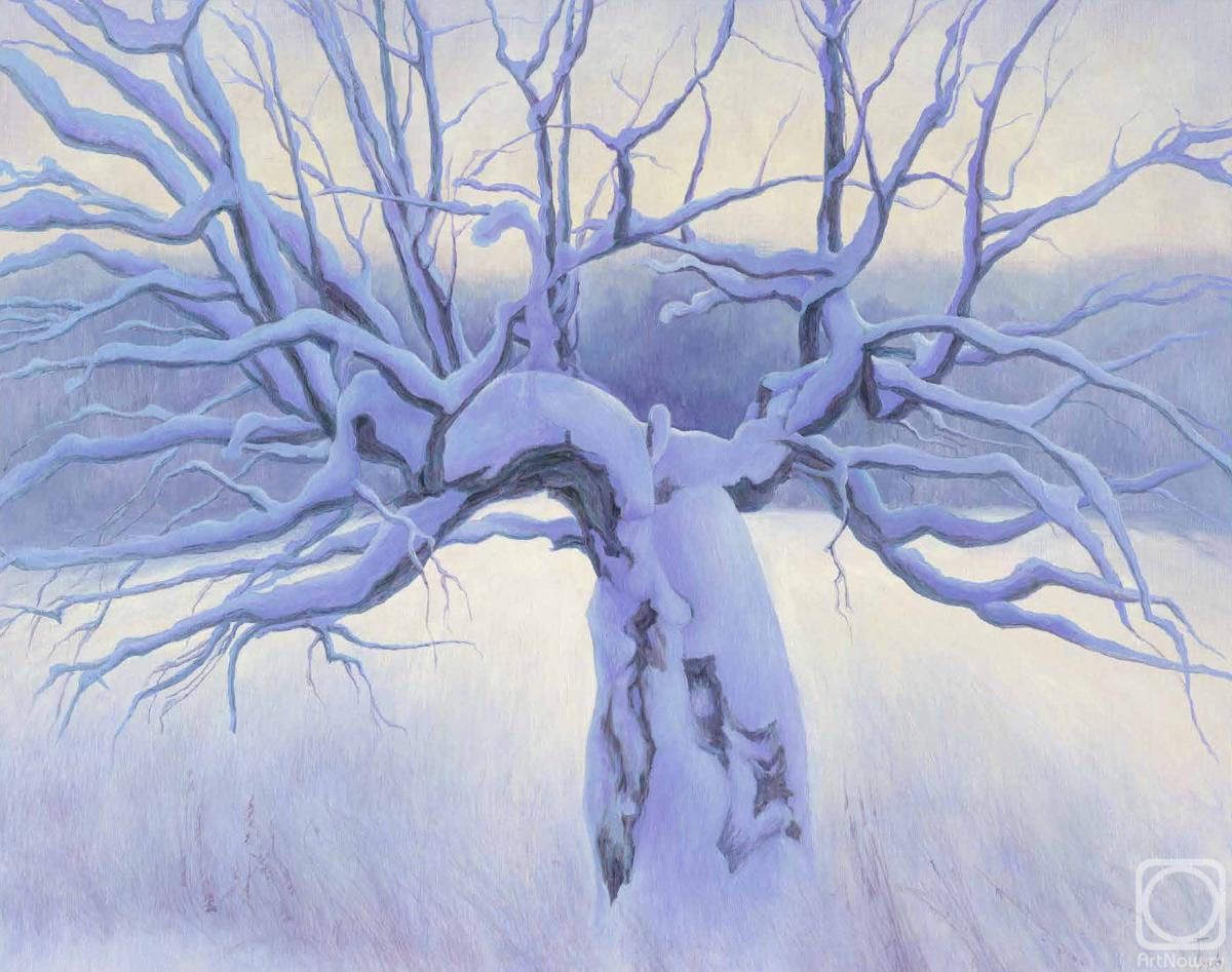 ������� ������ �� ������. �������� ��������. ����� ������������