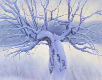 ����� ������������