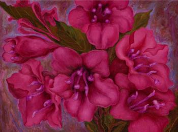 �������