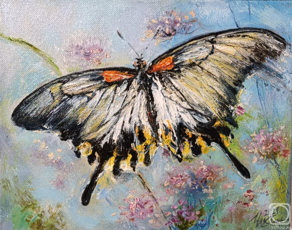 ������� ������ �� ������. ��������� ����. ������ ����