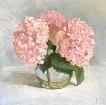 Hydrangeas