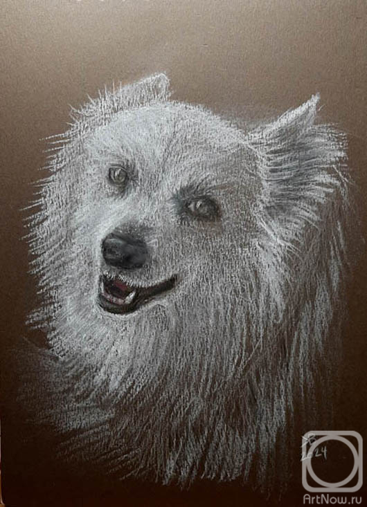 Kashirtseva Viktoriya. Untitled