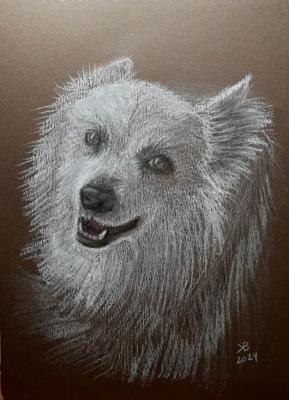 ���������� ������ ������. ��������� ��������