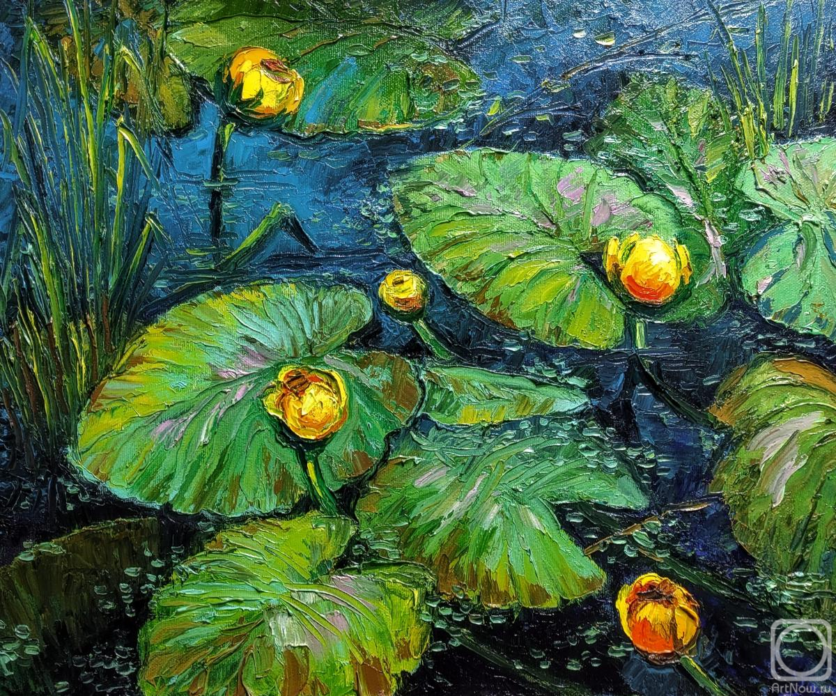 ������� ������ �� ������. �������� �����. ������ ��������