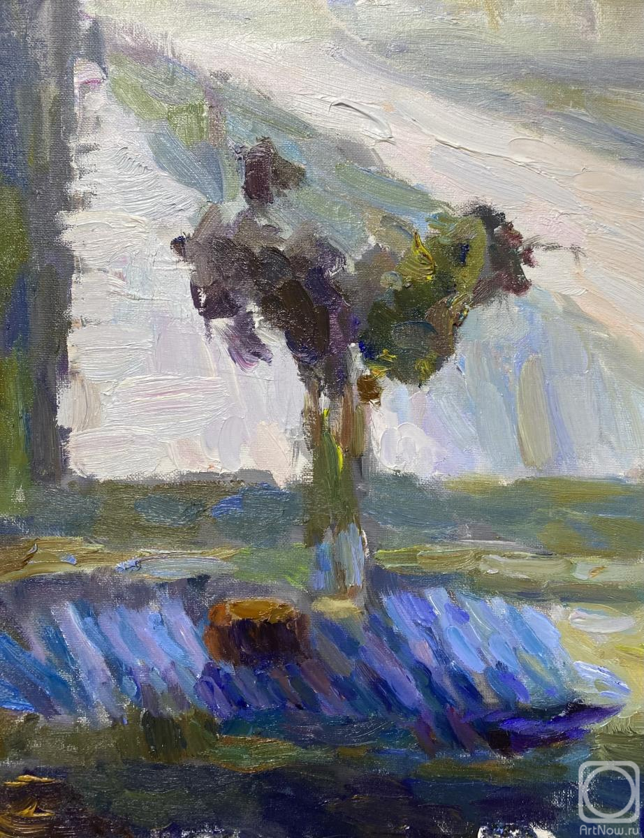 ������� ������ �� ������. ������� ����������. ���� ����