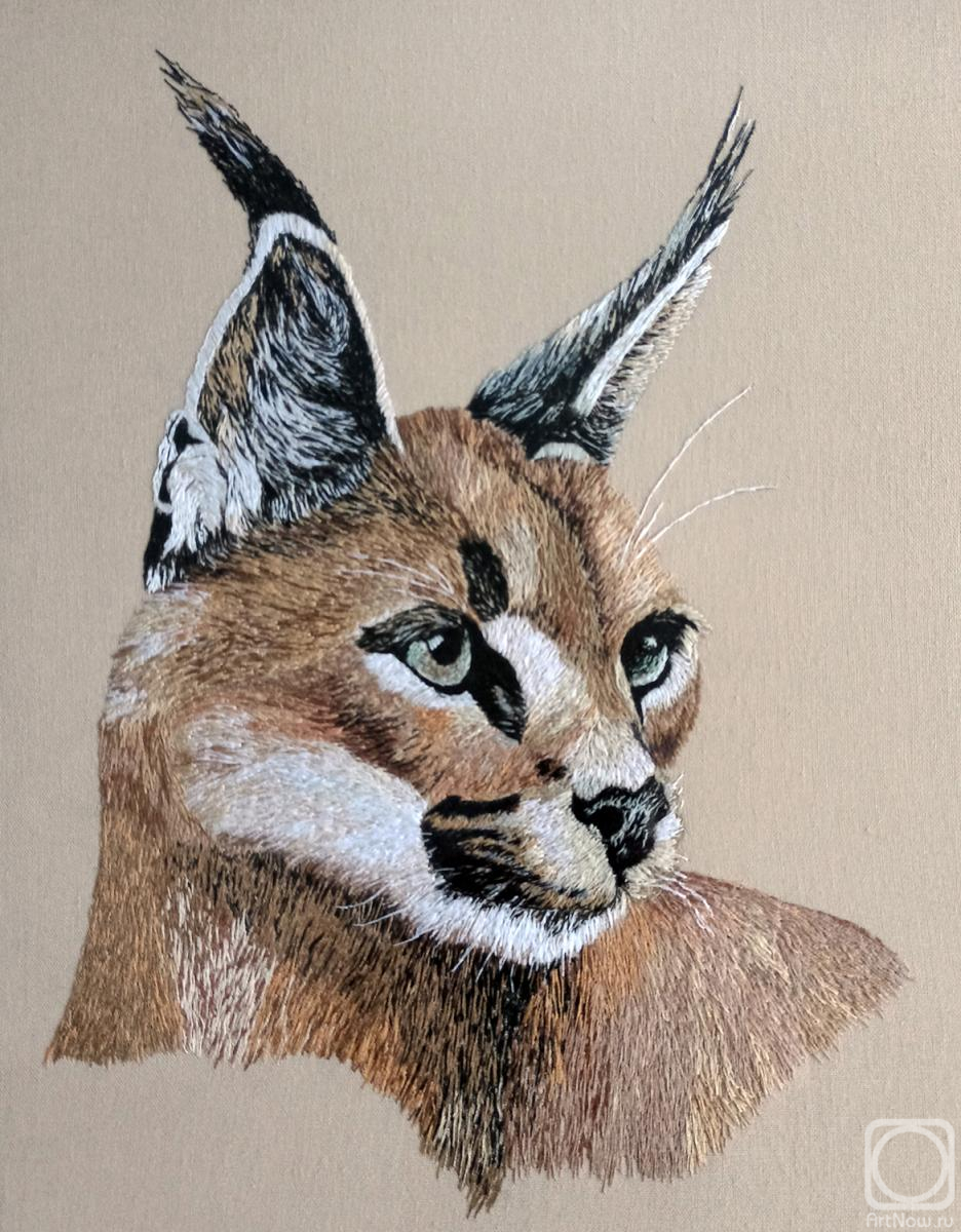 �������. ����� �����. ���� (�������)