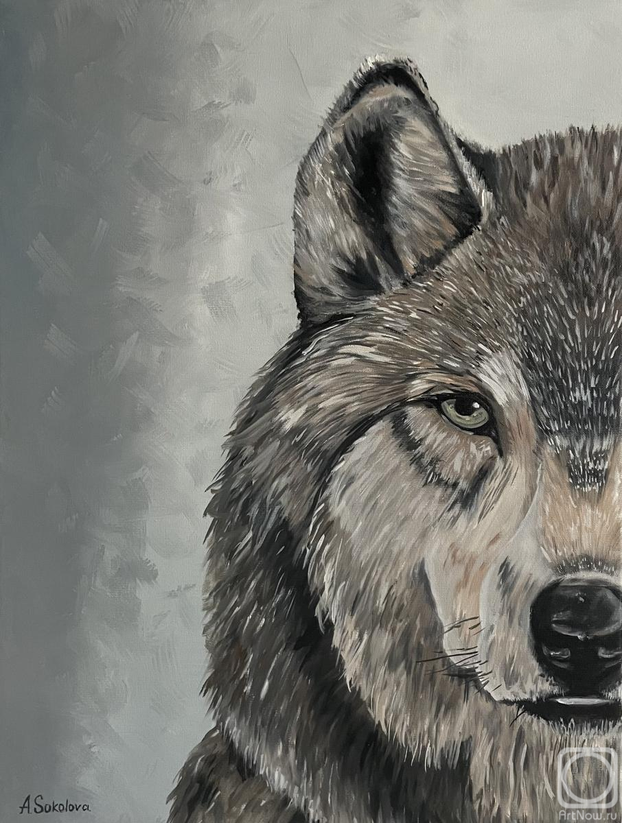 ������� ������ �� ������. �������� ����. �����