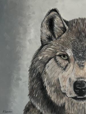 �����. �������� ����