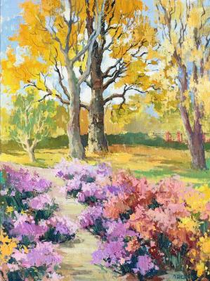 ������� ������� �����