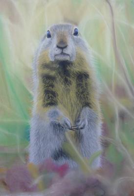 ������� ��������