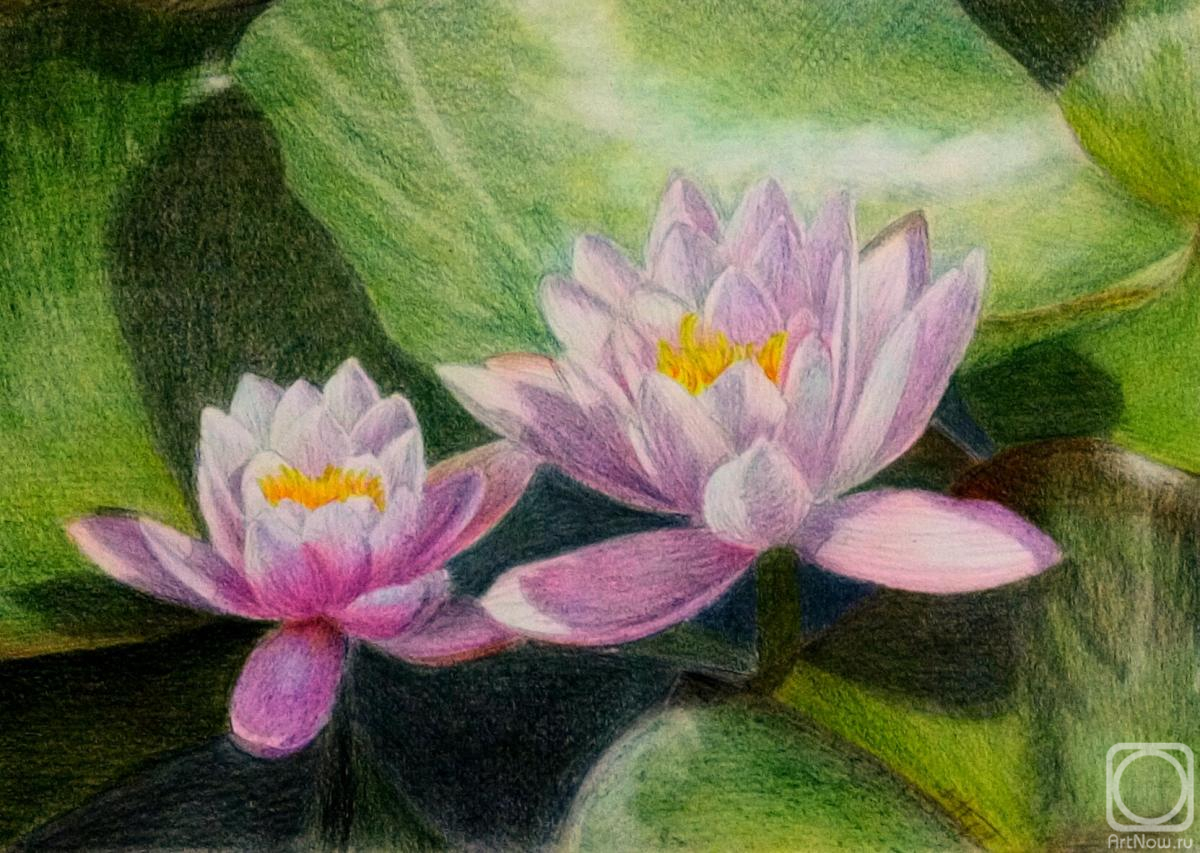 �������. �������� ������. ��������