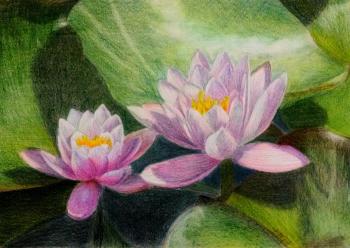 ��������. �������� ������