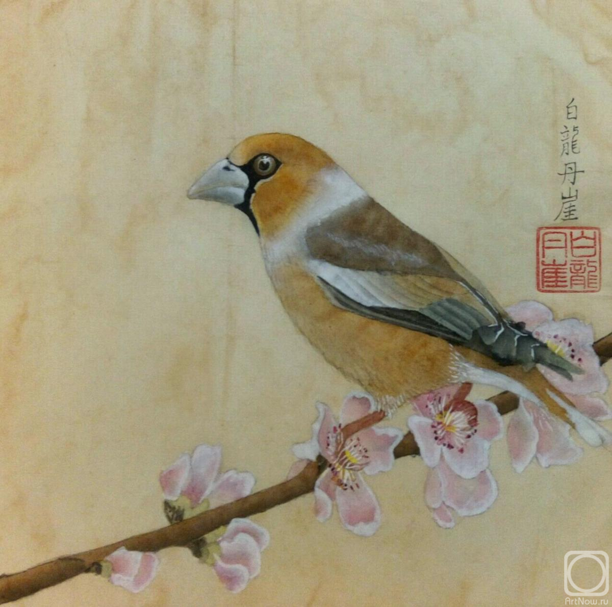 �������. �������� ������. ������� �� ����� ��������